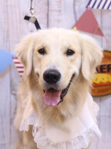 20240927レオくん